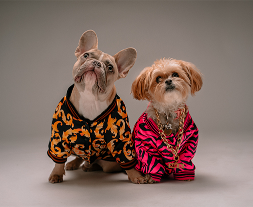 FutureRetail_Newsletter_160_BlogThumbnail_petco