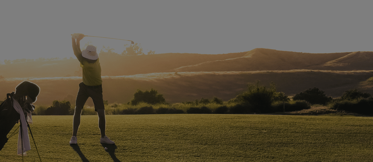 Titleist Golf Ball Showcase Outform